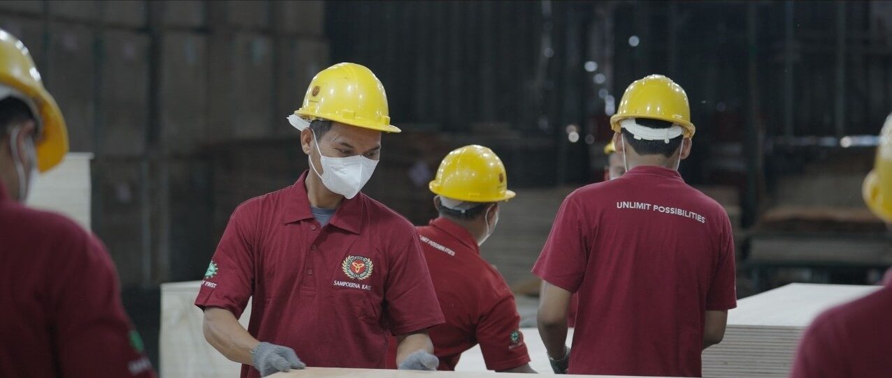 Produksi-plywood-e1758510362224