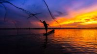 fisherman-throwing-fishing-net-during-260nw-1346839922